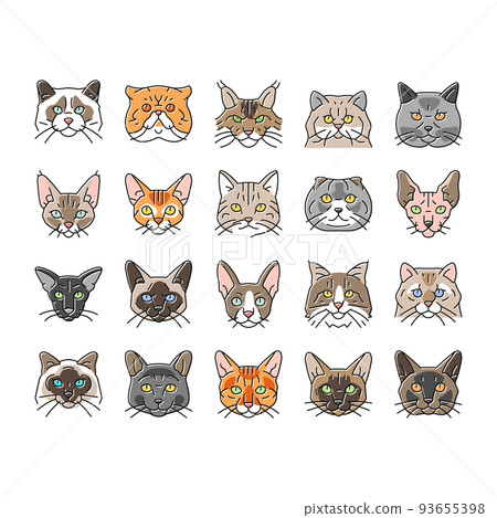 cat cute pet animal kitten funny icons set vector 93655398