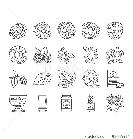raspberry fruit berry red food icons set vector 93655535