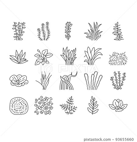 Aquatic Seaweed Natural Plant Icons Set Vector 93655660