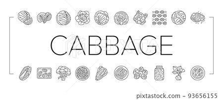 Cabbage Natural Vitamin Food Icons Set Vector 93656155