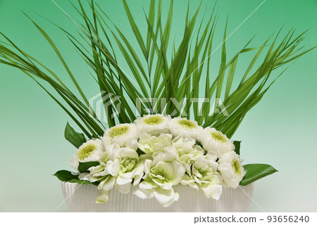preserved flower 93656240