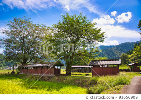 西山興勝寺遺址（一乘谷朝倉氏遺址） 93656909