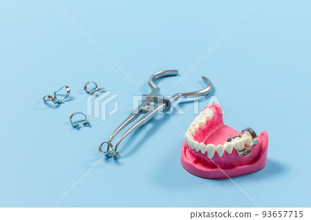 Layout of human jaw with rubber dam forceps Layout of human jaw with rubber dam forceps 93657715