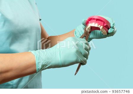 Dentist has extracted sick tooth from the layout of a human jaw 93657746