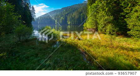 wild lake among the coniferous forest. wonderful nature scenery in carpathian mountains. sunny summer weather on a bright forenoon. popular travel destination wild lake among the coniferous forest. wonderful nature scenery in carpathian mountains. sunny summer weather on a bright forenoon. popular travel destination 93657907
