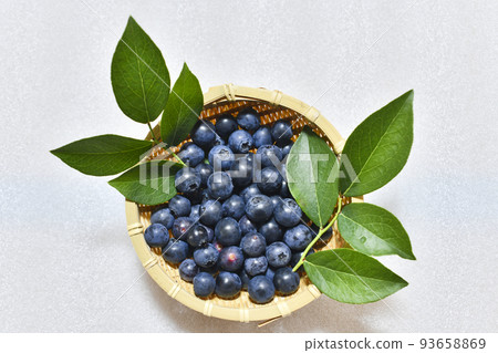 freshly picked ripe blueberries freshly picked ripe blueberries 93658869