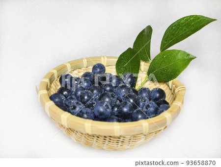 freshly picked ripe blueberries freshly picked ripe blueberries 93658870