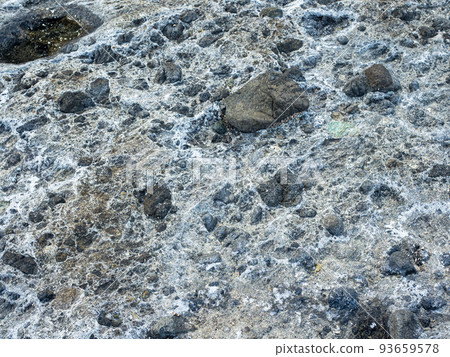 Vibrant colors of aquatic life in rock pools and the tidal zone of rocky coastline beach in hualien, Taiwan. 93659578