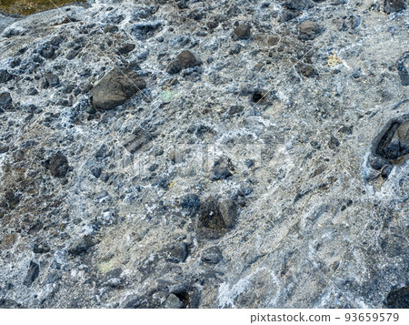 Vibrant colors of aquatic life in rock pools and the tidal zone of rocky coastline beach in hualien, Taiwan. 93659579