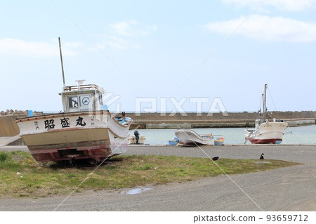 北海道日高港貓 1 93659712