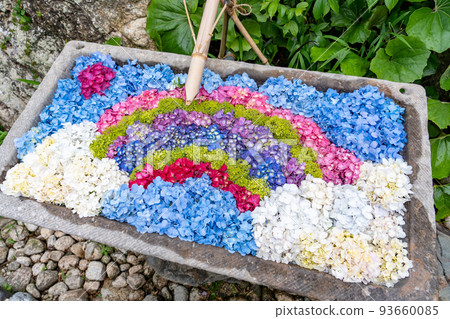 三重縣津市風早之裡的彩虹形狀的繡球花洗手盆 93660085