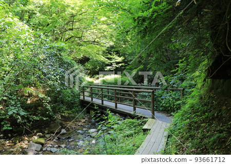夏季鳴子溫泉地獄谷散步道 夏季鳴子溫泉地獄谷散步道 93661712