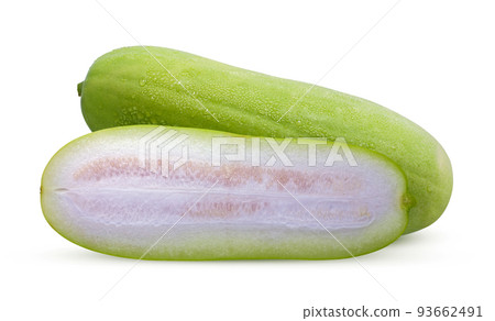 Wax Gourd isolated on white background Wax Gourd isolated on white background 93662491