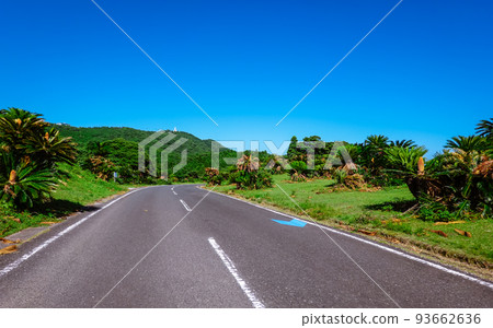 Chalk Toi Misaki Lighthouse rising from the cliff (Miyazaki Prefecture) 93662636