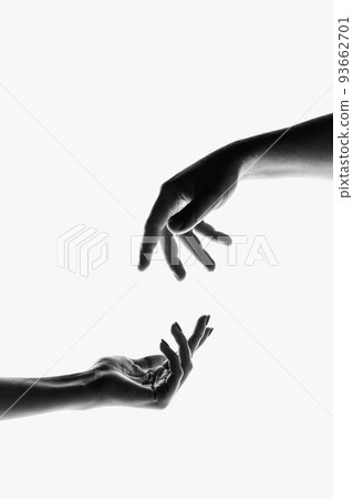 Monochrome image of beautiful hands in different motion isolated on white background. Concept of feelings, community, care, support, symbolism, art Monochrome image of beautiful hands in different motion isolated on white background. Concept of feelings, community, care, support, symbolism, art 93662701