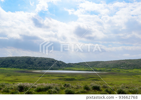 被光照亮的草地上的水坑 93662768