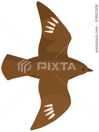 Ouutosuke gull 93662806