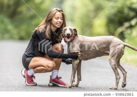 Teenage girl knees and pets her Weimaraner dog during a walk in the nature 93662861