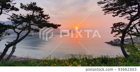 Sunrise Sunrise 93662883