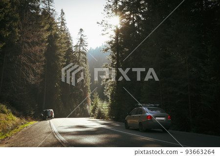 Road in Ukrainian Carpathian mountains in sunny day 93663264