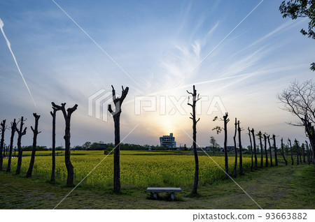 Niigata Fukushima lagoon evening view 93663882