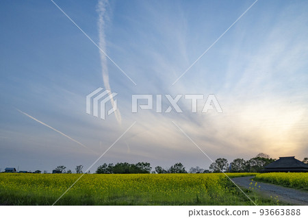 新潟福島潟湖夜景 93663888