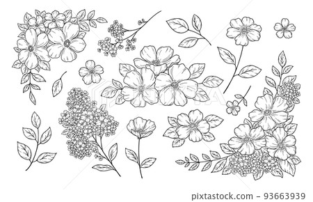 Floral decoration illustration, frame and ornament, botanical hand-drawn illustration, black line drawing. 93663939