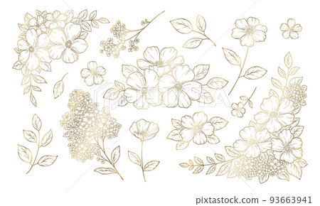Floral decoration illustrations, frames and ornaments, botanical hand drawn illustrations, gold line art. 93663941