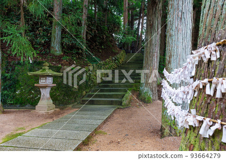 Sakurayama Hachiman Shrine Omikuji Sakurayama Hachiman Shrine Omikuji 93664279