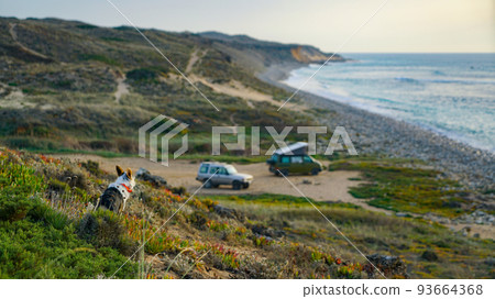 the traveler dog looks at motorhomes by the ocean 93664368