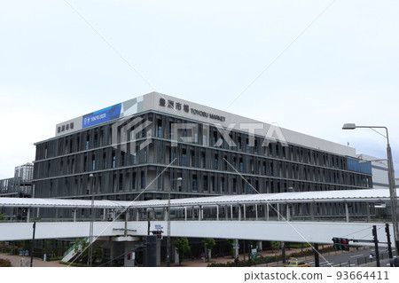 Toyosu Market 93664411