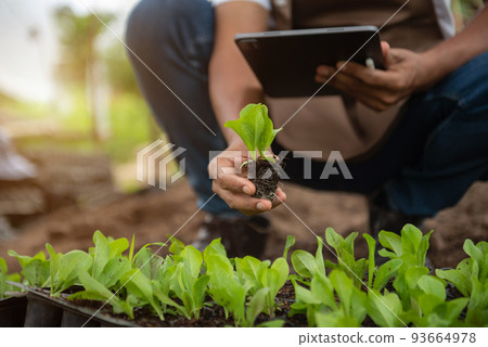 Geneticists, biologists, and scientists are studying the genetic structure of vegetables in a greenhouse. Geneticists, biologists, and scientists are studying the genetic structure of vegetables in a greenhouse. 93664978
