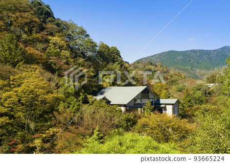 A lodge nestled in a forest of colored leaves A lodge nestled in a forest of colored leaves 93665224