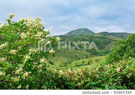 natural mountain landscape on Kunashir island, partially blurred, focus on nearby blooming tree natural mountain landscape on Kunashir island, partially blurred, focus on nearby blooming tree 93665394