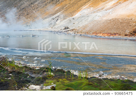 extremophilous vegetation on the shore of a hot mineralized volcanic lake, reminiscent of the first land plants extremophilous vegetation on the shore of a hot mineralized volcanic lake, reminiscent of the first land plants 93665475
