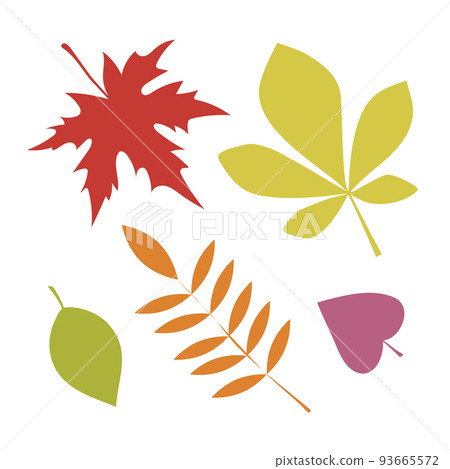 Autumn leaves set, isolated on white background. Simple cartoon flat style. Isolated vector illustration. Design for stickers, logo, web and mobile app. Autumn leaves set, isolated on white background. Simple cartoon flat style. Isolated vector illustration. Design for stickers, logo, web and mobile app. 93665572