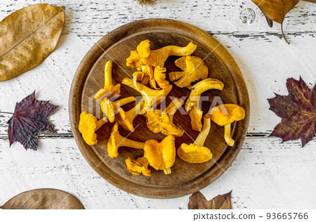 Raw chanterelle mushrooms on wooden cutting board, fallen leavers, white wooden background Raw chanterelle mushrooms on wooden cutting board, fallen leavers, white wooden background 93665766