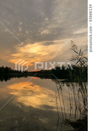 Reed grass silhouettes at lake shore against dramatic sunset sky summer landscape 93666134