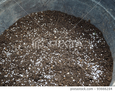 Chemical fertilizer spread on the soil 93666284