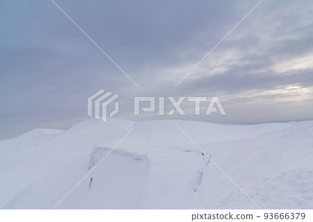 Frozen snow-covered fir forest after snowfall and gray sky in haze at winter day. Carpathian Mountains, Ukraine 93666379