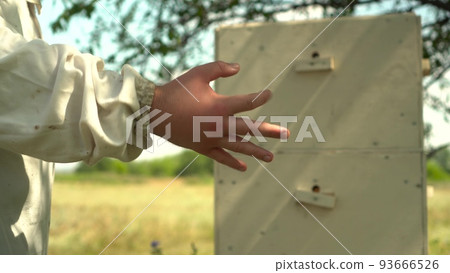 A beekeeper with a swollen palm due to a bee sting. A young man in the field against the background of a beehive in the apiary. A man in a white suit. Hand close up. A beekeeper with a swollen palm due to a bee sting. A young man in the field against the background of a beehive in the apiary. A man in a white suit. Hand close up. 93666526