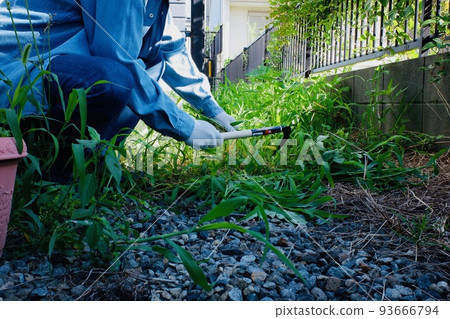 Mowing a weedy garden 93666794