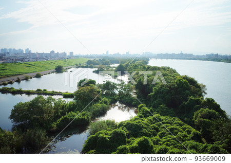 Scenery of Yodo River Wandokoro Summer Scenery of Yodo River Wandokoro Summer 93669009