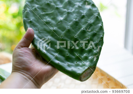 脂肪更簡單 脂肪更簡單 93669708