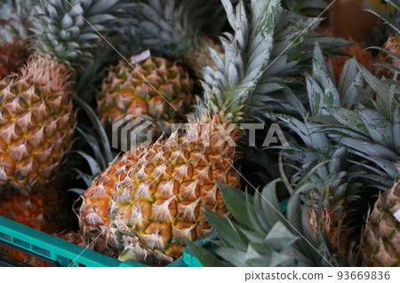Pineapple in Okinawa 93669836