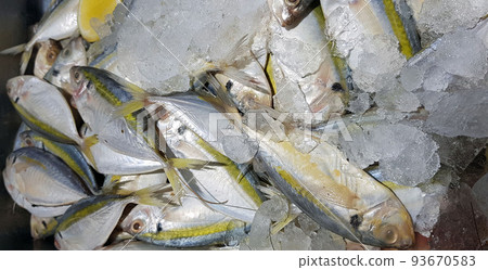 close up of 3d microscopic blue bacteria, 3D rendering Bacteria closeup, Blue virus or bacteria cells high resolution science illustration 93670583