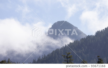 Canadian Nature Landscape with trees and mountains. 93671168