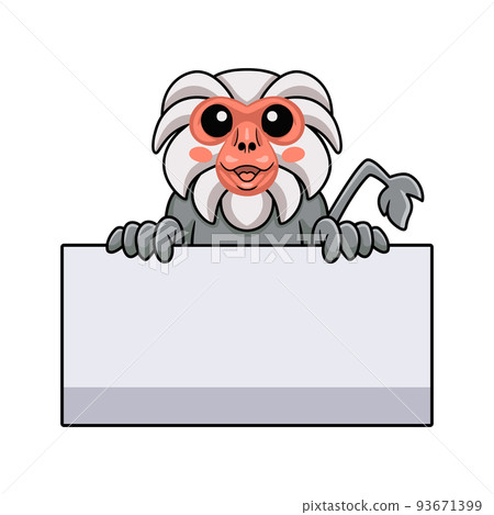 Cute little hamadryad monkey cartoon holding blank sign Cute little hamadryad monkey cartoon holding blank sign 93671399