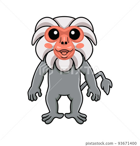 Cute little hamadryad monkey cartoon standing 93671400