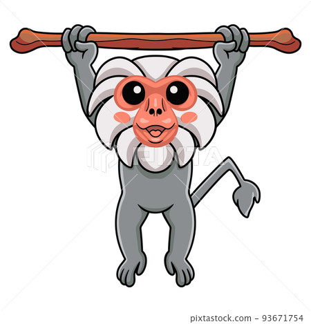 Cute little hamadryad monkey cartoon hanging on tree Cute little hamadryad monkey cartoon hanging on tree 93671754
